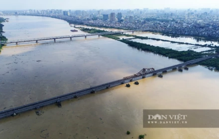 Chủ tịch Hà Nội: Chủ động cho học sinh nghỉ học, người lao động làm việc trực tuyến ngày 6/10 để ứng phó bão Matmo