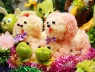 Vì sao trong mâm cỗ Tết Trung thu lại thường có chó làm bằng bưởi?