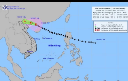 Nóng! 💨 BẠCH LONG VĨ ĐÃ CÓ GIÓ MẠNH CẤP 8, GIẬT CẤP 9; VEN BIỂN QUẢNG NINH HẢI PHÒNG ĐÃ CÓ GIÓ GIẬT CẤP 6-8