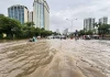 Thoát nước Hà Nội không còn phù hợp với 'trận mưa rào thông thường'