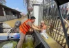 Công an Hà Nội huy động tối đa lực lượng hỗ trợ người dân vùng ngập lụt