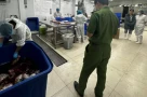 Cận cảnh quá trình sản xuất thịt bò giả tại Công ty thực phẩm Hida