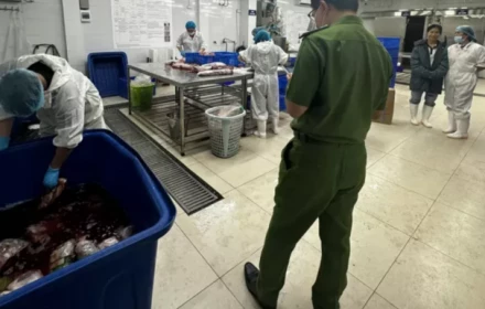 Cận cảnh quá trình sản xuất thịt bò giả tại Công ty thực phẩm Hida