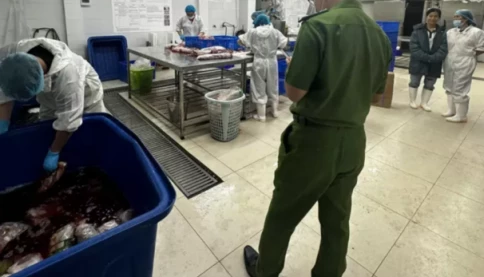 Cận cảnh quá trình sản xuất thịt bò giả tại Công ty thực phẩm Hida