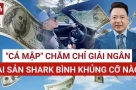 Hệ sinh thái hàng trăm tỷ của Shark Bình giờ ra sao?