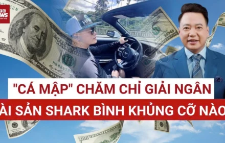 Hệ sinh thái hàng trăm tỷ của Shark Bình giờ ra sao?