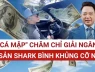 Hệ sinh thái hàng trăm tỷ của Shark Bình giờ ra sao?