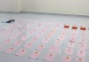 Ngân 98 sở hữu 80 sổ đỏ: Ai đứng tên và pháp luật xử lý tài sản thế nào?