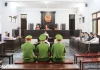 Vụ án “gà lôi trắng”: Vì sao bị cáo Thái Khắc Thành được miễn truy cứu trách nhiệm hình sự, thả tự do tại tòa?