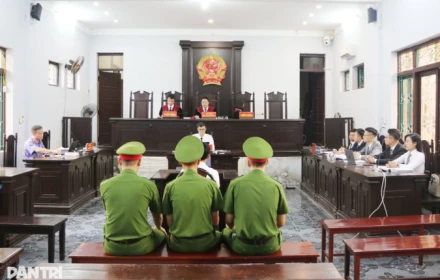 Vụ án “gà lôi trắng”: Vì sao bị cáo Thái Khắc Thành được miễn truy cứu trách nhiệm hình sự, thả tự do tại tòa?