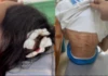 Công an triệu tập khẩn cấp người đàn ông nghi bạo hành bé gái lớp 5