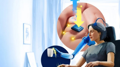 Đưa phim viễn tưởng ra đời thực: chi giả sinh học có thể cảm nhận như chi thật
