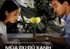 Điểm danh 22 tác phẩm điện ảnh Việt Nam gửi tranh cử giải Oscar từ năm 1993 đến nay
