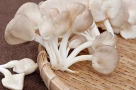 5 thực phẩm màu trắng tốt cho sức khỏe