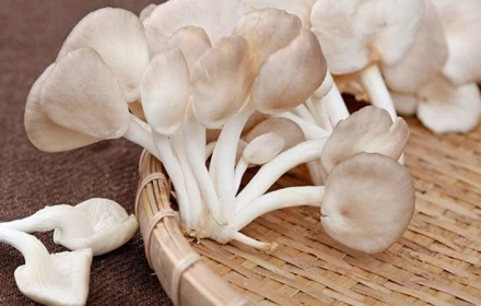 5 thực phẩm màu trắng tốt cho sức khỏe
