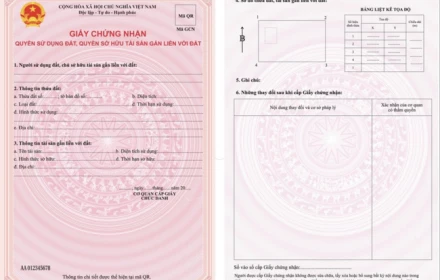 Người dân có thể nộp ảnh sổ đỏ photocopy trên ứng dụng VNeID