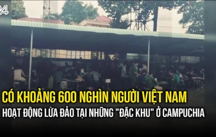 Sốc! Gần 600 nghìn người Việt Nam tham gia hoạt động lừa đảo tại Campuchia