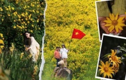 Mùa dã quỳ rực rỡ Đà Lạt: “Lạc lối” giữa những cung đường rợp sắc hoa vàng