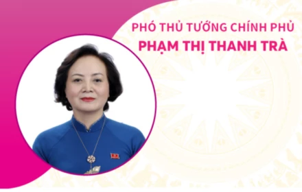 Phân công nhiệm vụ đối với Phó Thủ tướng Chính phủ Phạm Thị Thanh Trà