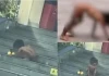 Trung Quốc: "Đứa trẻ người rừng" không mặc đồ, bò cả tay và chân, cha mẹ đều là người có tri thúc, bảo muốn nuôi dạy "thuận tự nhiên" 😰