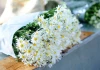 10 điều nên làm ngay khi Hà Nội vào thu