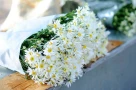10 điều nên làm ngay khi Hà Nội vào thu