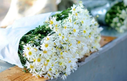 10 điều nên làm ngay khi Hà Nội vào thu