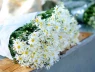 10 điều nên làm ngay khi Hà Nội vào thu