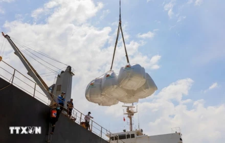 Khách hàng mua gạo lớn nhất tạm ngừng nhập khẩu, các tàu chở gạo của Việt Nam đang bán đi đâu?