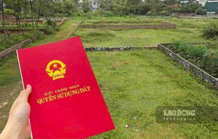 Tring lúc bất động sản tăng phi mã thì sản xuất, kinh doanh ra sao?