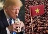 Tổng thống Donald Trump: Cafe Việt Nam sẽ hưởng thuế suất 0% khi nhập khẩu vào Mỹ