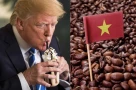 Tổng thống Donald Trump: Cafe Việt Nam sẽ hưởng thuế suất 0% khi nhập khẩu vào Mỹ
