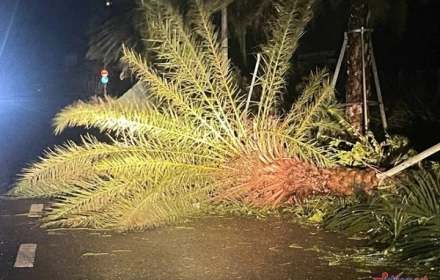 Cảnh tượng nhói lòng sau bão số 13