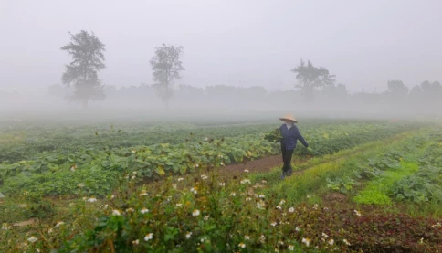 Bất thường! Miền Bắc nồm ẩm ngay đầu đông. Có gì đang xảy ra?