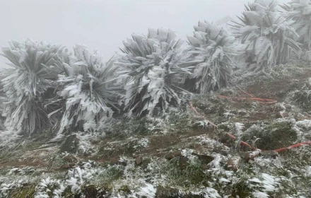 Miền Bắc đón đợt không khí lạnh tăng cường từ đêm nay