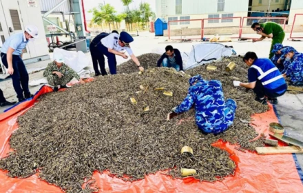 Phát hiện hơn 25 tấn đạn, vỏ đạn quân dụng nhập khẩu qua cảng Đình Vũ - Hải Phòng