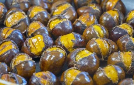 Loại hạt là nhân sâm của mùa đông, ngon - bổ - rẻ mà nhiều người không biết