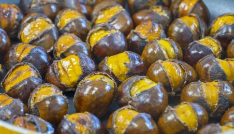 Loại hạt là nhân sâm của mùa đông, ngon - bổ - rẻ mà nhiều người không biết