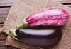Cả một "kho báo" dinh dưỡng trong quả cà tím, nhưng không phải ai cũng nên ăn