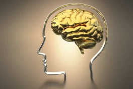 Thiết bị "giải mã bộ não" cho phép đọc được suy nghĩ của con người