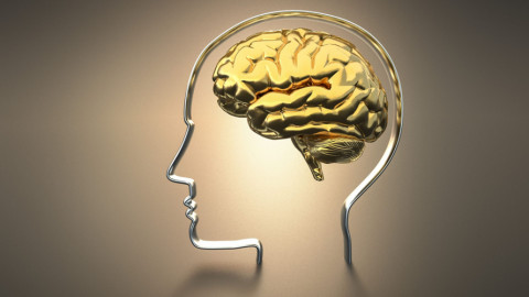 Thiết bị "giải mã bộ não" cho phép đọc được suy nghĩ của con người
