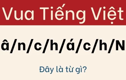 Thử thách hack não: "Hóc Búa" Đánh Gục 99% "Cao Thủ Ngôn Từ"!