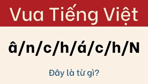 Thử thách hack não: "Hóc Búa" Đánh Gục 99% "Cao Thủ Ngôn Từ"!