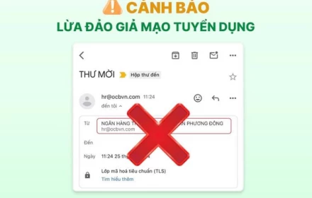 Người phụ nữ ở Hà Nội mất gần nửa tỷ đồng khi sập bẫy tuyển dụng online