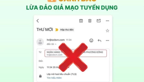 Người phụ nữ ở Hà Nội mất gần nửa tỷ đồng khi sập bẫy tuyển dụng online