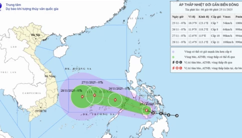 Tin bão mới nhất: Áp thấp dự báo mai tăng cấp thành bão, đổ bộ biển Đông thành cơn bão số 15