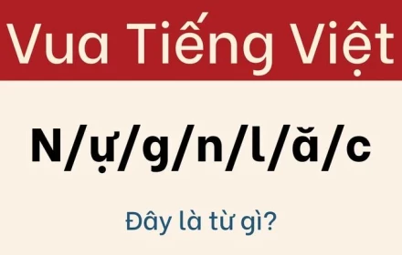 Thử thách hack não: Người thông thái nhất cũng bị qua mặt bởi câu đố này