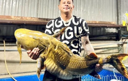 Loài cá sông Đà kích thước lớn màu da lạ kỳ, được ví là "ngũ quý hà thủy", hiếm thấy