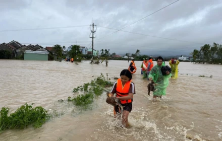 Thông tin "nóng" về chi trả bảo hiểm do thiệt hại bão lũ miền Trung: Có đơn vị bồi thường gần 300 tỷ đồng