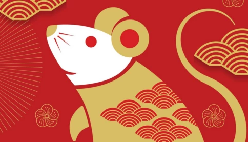 Sự nghiệp tuổi Tý năm 2026: Bứt phá hay thử thách? 🐭